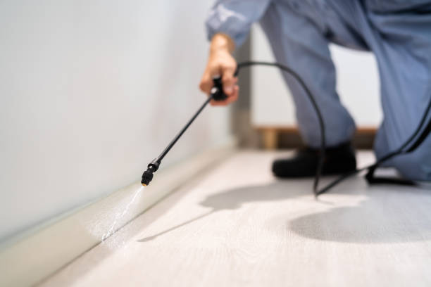 Licensed Mosquito Control service in Yuma, AZ - Nex Pest Control