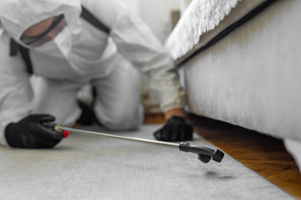 Professional Mosquito Control technician working in Yuma, AZ