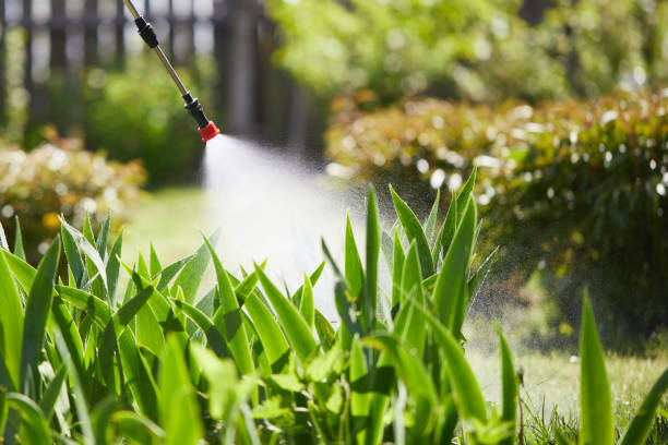24/7 Emergency Mosquito Control experts in Yuma, AZ