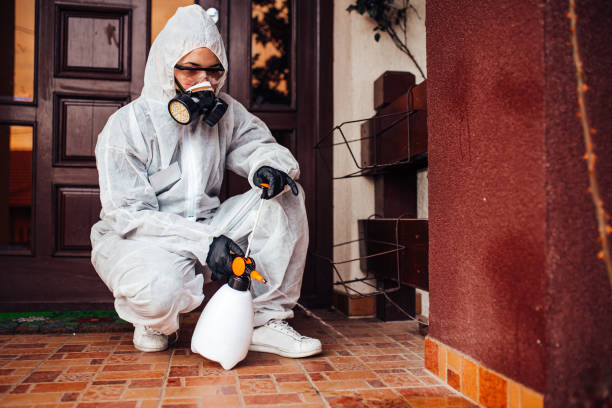Reliable Mosquito Control contractor in Yuma, AZ by Nex Pest Control