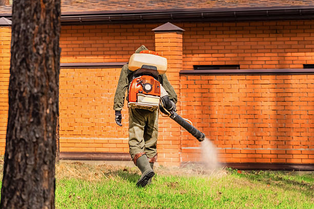Top rated local Mosquito Control specialists in Yuma, AZ